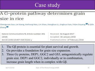 Heterotrimerric g protein can helpto feed the world | PPTX