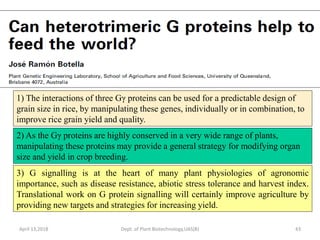 Heterotrimerric g protein can helpto feed the world | PPTX