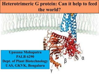 Heterotrimeric G protein: Can it help to feed
the world?
Upasana Mohapatra
PALB 6290
Dept. of Plant Biotechnology
UAS, GKVK, Bengaluru
 