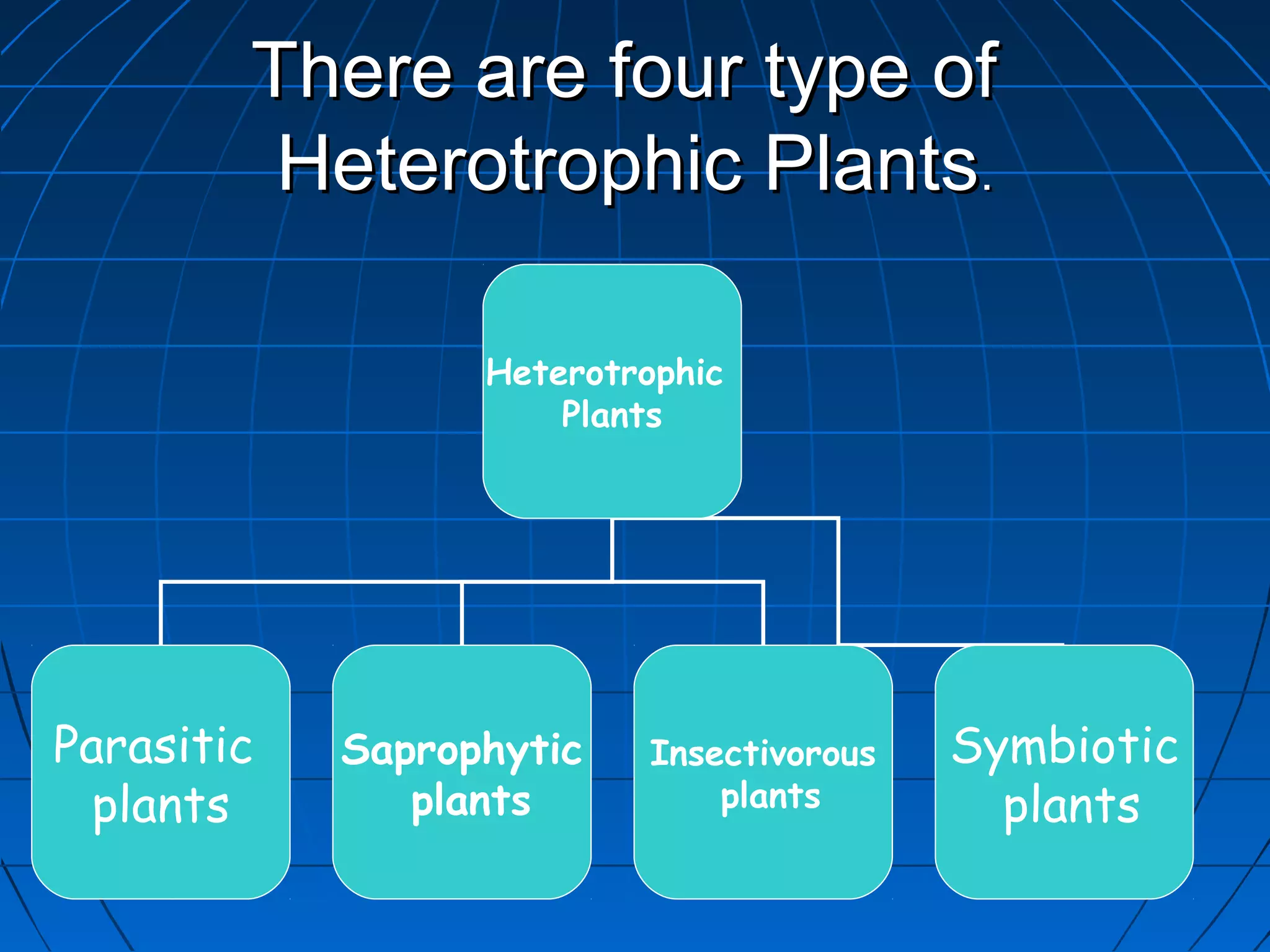 There are four type of
Heterotrophic Plants.
Heterotrophic
Plants
Parasitic Saprophytic Insectivorous Symbiotic
plants plants plants plants