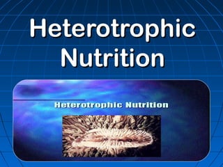 Heterotrophic
  Nutrition
 