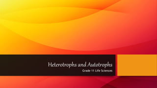 Heterotrophs and Autotrophs
Grade 11 Life Sciences
 
