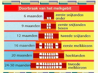 Doorbraak melkgebit Doorbraak van het melkgebit 