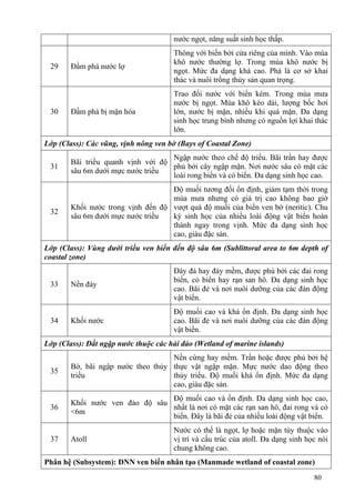 80
nước ngọt, năng suất sinh học thấp.
29 Đầm phá nước lợ
Thông với biển bởi cửa riêng của mình. Vào mùa
khô nước thường lợ. Trong mùa khô nước bị
ngọt. Mức đa dạng khá cao. Phá là cơ sở khai
thác và nuôi trồng thủy sản quan trọng.
30 Đầm phá bị mặn hóa
Trao đổi nước với biển kém. Trong mùa mưa
nước bị ngọt. Mùa khô kéo dài, lượng bốc hơi
lớn, nước bị mặn, nhiều khi quá mặn. Đa dạng
sinh học trung bình nhưng có nguồn lợi khai thác
lớn.
Lớp (Class): Các vũng, vịnh nông ven bờ (Bays of Coastal Zone)
31
Bãi triều quanh vịnh với độ
sâu 6m dưới mực nước triều
Ngập nước theo chế độ triều. Bãi trần hay được
phủ bởi cây ngập mặn. Nơi nước sâu có mặt các
loài rong biển và cỏ biển. Đa dạng sinh học cao.
32
Khối nước trong vịnh đến độ
sâu 6m dưới mực nước triều
Độ muối tương đối ổn định, giảm tạm thời trong
mùa mưa nhưng có giá trị cao không bao giờ
vượt quá độ muối của biển ven bờ (neritic). Chu
kỳ sinh học của nhiều loài động vật biển hoàn
thành ngay trong vịnh. Mức đa dạng sinh học
cao, giàu đặc sản.
Lớp (Class): Vùng dưới triều ven biển đến độ sâu 6m (Sublittoral area to 6m depth of
coastal zone)
33 Nền đáy
Đáy đá hay đáy mềm, được phủ bởi các đai rong
biển, cỏ biển hay rạn san hô. Đa dạng sinh học
cao. Bãi đẻ và nơi nuôi dưỡng của các đàn động
vật biển.
34 Khối nước
Độ muối cao và khá ổn định. Đa dạng sinh học
cao. Bãi đẻ và nơi nuôi dưỡng của các đàn động
vật biển.
Lớp (Class): Đất ngập nước thuộc các hải đảo (Wetland of marine islands)
35
Bờ, bãi ngập nước theo thủy
triều
Nền cứng hay mềm. Trần hoặc được phủ bởi hệ
thực vật ngập mặn. Mực nước dao động theo
thủy triều. Độ muối khá ổn định. Mức đa dạng
cao, giàu đặc sản.
36
Khối nước ven đảo độ sâu
<6m
Độ muối cao và ổn định. Đa dạng sinh học cao,
nhất là nơi có mặt các rạn san hô, đai rong và cỏ
biển. Đây là bãi đẻ của nhiều loài động vật biển.
37 Atoll
Nước có thể là ngọt, lợ hoặc mặn tùy thuộc vào
vị trí và cấu trúc của atoll. Đa dạng sinh học nói
chung không cao.
Phân hệ (Subsystem): ĐNN ven biển nhân tạo (Manmade wetland of coastal zone)
 