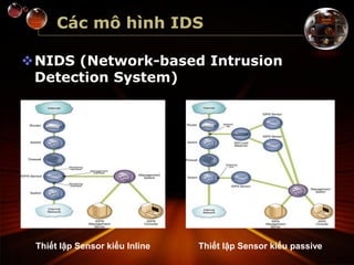 Các mô hình IDS
NIDS (Network-based Intrusion
Detection System)
Thiết lập Sensor kiểu Inline Thiết lập Sensor kiểu passive
 