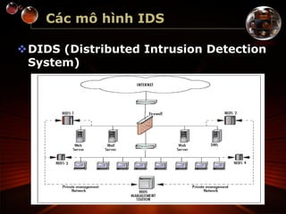 Các mô hình IDS
DIDS (Distributed Intrusion Detection
System)
 