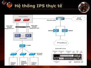 Hệ thống IPS thực tế
 