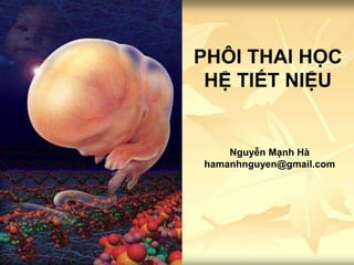 PHÔI THAI HỌC
HỆ TIẾT NIỆU
Nguyễn Mạnh Hà
hamanhnguyen@gmail.com
 