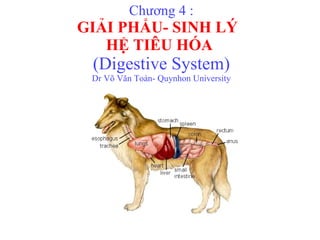 Chương 4 : GIẢI PHẨU- SINH LÝ  HỆ TIÊU HÓA  (Digestive System) Dr Võ Văn Toàn- Quynhon University 