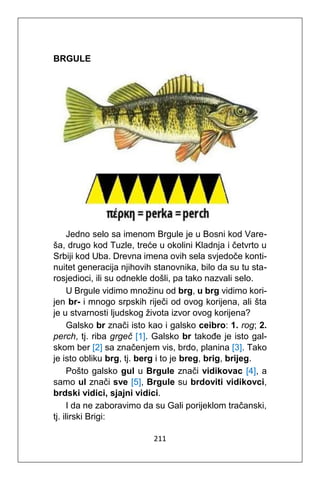 211
BRGULE
Jedno selo sa imenom Brgule je u Bosni kod Vare-
ša, drugo kod Tuzle, treće u okolini Kladnja i četvrto u
Srbiji kod Uba. Drevna imena ovih sela svjedoče konti-
nuitet generacija njihovih stanovnika, bilo da su tu sta-
rosjedioci, ili su odnekle došli, pa tako nazvali selo.
U Brgule vidimo množinu od brg, u brg vidimo kori-
jen br- i mnogo srpskih riječi od ovog korijena, ali šta
je u stvarnosti ljudskog života izvor ovog korijena?
Galsko br znači isto kao i galsko ceibro: 1. rog; 2.
perch, tj. riba grgeč [1]. Galsko br takođe je isto gal-
skom ber [2] sa značenjem vis, brdo, planina [3]. Tako
je isto obliku brg, tj. berg i to je breg, brig, brijeg.
Pošto galsko gul u Brgule znači vidikovac [4], a
samo ul znači sve [5], Brgule su brdoviti vidikovci,
brdski vidici, sjajni vidici.
I da ne zaboravimo da su Gali porijeklom tračanski,
tj. ilirski Brigi:
 