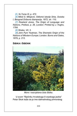 213
[5 ] Ib.Tome III, p. 472.
[6] Miloš S. Milojević, Odlomci istorije Srba, Sveska
I, Beograd Državna štamparija, 1872, str. 110.
[7] Rowland Jones, The Origin of Language and
Nations, Preface, p. 26, London: Printed by J. Hughs,
1764.
[8] Strabo, VII, 3.
[9] John Pym Yeatman, The Shemetic Origin of the
Nations of Western Europe; London: Burns and Oates,
1879, p. 213.
ŠIBIKA I ŠIBENIK
More i rascvjetana žuta šibika.
U svom “Rječniku hrvatskoga ili srpskoga jezika”
Petar Skok kaže da je ime dalmatinskog primorskog
 
