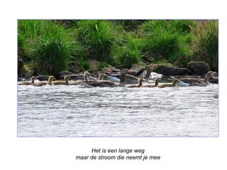 Het is een lange weg 
maar de stroom die neemt je mee 
 