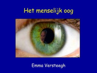 Het menselijk oog Emma Versteegh 