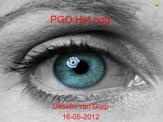 PGO:Het oog




Desslin van Gurp
  16-05-2012
 