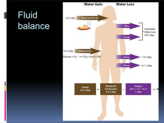 Fluid
balance
 