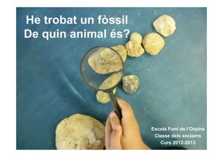 He trobat un fòssil
De quin animal és?
Escola Font de l’Orpina
Classe dels enciams
Curs 2012-2013
 