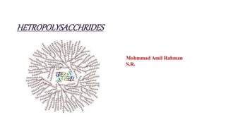 HETROPOLYSACCHRIDES
Mohmmad Amil Rahman
S.R.
 