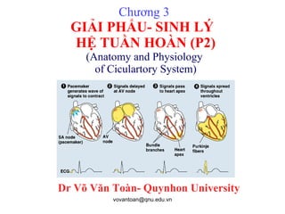 Chương 3  GIẢI PHẨU- SINH LÝ  HỆ TUẦN HOÀN (P2) (Anatomy and Physiology  of Ciculartory System) Dr Võ Văn Toàn- Quynhon University 