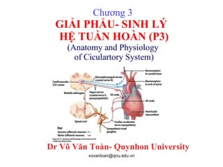 Chương 3  GIẢI PHẨU- SINH LÝ  HỆ TUẦN HOÀN (P3) (Anatomy and Physiology  of Ciculartory System) Dr Võ Văn Toàn- Quynhon University 