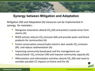 Climate change and forests: Synergy between mitigation and adaptation ...