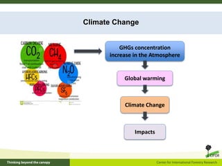 Climate change and forests: Synergy between mitigation and adaptation ...