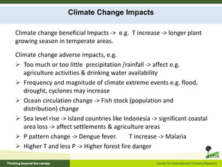 Climate change and forests: Synergy between mitigation and adaptation ...