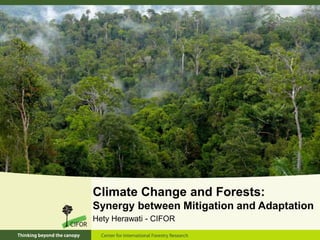 Climate Change and Forests:
Synergy between Mitigation and Adaptation
Hety Herawati - CIFOR
 
