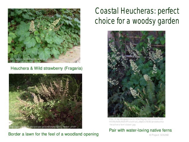 Bushels Of Nettles Resilience