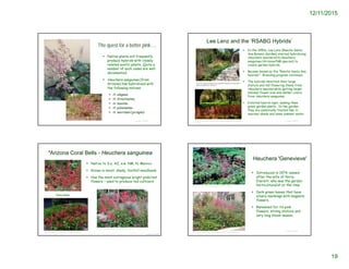 12/11/2015
19
The quest for a better pink….
 Native plants will frequently
produce hybrids with closely
related exotic plants. Quite a
number of such cases are well
documented.
 Heuchera sanguinea (from
Arizona) has hybridized with
the following natives:
 H. elegans,
 H. hirsutissima,
 H. maxima
 H. pilosissima
 H. merriamii (pringlei)
© Project SOUND
*Arizona Coral Bells - Heuchera sanguinea
 Native to S.e. AZ, s.w. NM, N. Mexico
 Grows in moist, shady, foothill woodlands
 Has the most outrageous bright pink/red
flowers – used to produce red cultivars
© Project SOUND
http://loghouseplants.com/plants/shop/heuchera-
sanguinea-ruby-bells-coral-bells/
‘Ruby Bells’
https://www.pinterest.com/pin/74098356341543411/
http://notanothergardeningblog.com/tag/foliage-plants/
Lee Lenz and the ‘RSABG Hybrids’
 In the 1950s, Lee Lenz (Rancho Santa
Ana Botanic Garden) started hybridizing
Heuchera maxima with Heuchera
sanguinea (Arizona/NM species) to
create garden hybrids.
 Became known as the "Rancho Santa Ana
hybrids". Breeding program continues.
 The hybrids inherited their large
stature and tall flowering stems from
Heuchera maxima while getting larger
indidual flower size and darker colors
from Heuchera sanguinea.
 Exibited hybrid vigor, making them
great garden plants. In the garden,
they are essentially treated like H.
maxima: shade and some summer water.
© Project SOUNDhttp://www.monrovia.com/plant-catalog/plants/3389/santa-ana-cardinal-
coral-bells/
Heuchera 'Genevieve'
 Introduced in 1974; named
after the wife of Percy
Everett, who was the garden
horticulturalist at the time
 Dark green leaves that have
silvery markings with magenta
flowers.
 Renowned for its pink
flowers, strong stature and
very long bloom season.
© Project SOUND
https://www.flickr.com/photos/eastbaywilds/8117898828
http://www.magicgrowers.com/plantDetail.php?plantId=0000980175
 