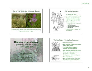 12/11/2015
1
© Project SOUND
Out of the Wilds and Into Your Garden
Gardening with California Native Plants in Western L.A. County
Project SOUND – 2015 (our 11th year)
© Project SOUND
Heavenly Heucheras:
gardening with our lovely
native Coral Bells
C.M. Vadheim and T. Drake
CSUDH & Madrona Marsh Preserve
Madrona Marsh Preserve
December 5 & 10, 2015
The genus Heuchera
 In the Saxifrage Family
 All from the Americas (N./Central)
 Commonly called ‘Coral Bells’ (for
the flowers) and ‘Alumroots’ (for
their astringent, alum-like roots)
 Similar in appearance
 Leaves round to heart-shaped with
long petioles
 Basel rosette/mound
 Small, bell-shaped flowers on
wand-like stalk
 Hybridize widely in the wild – and
in the garden
© Project SOUNDhttp://plants.usda.gov/gallery/large/hepu9_001_lvd.jpg
The Saxifrages - Family Saxifragaceae
© Project SOUND
http://montana.plant-life.org/families/Saxifragaceae.htm
 Name: ‘stone-breaker’
 Most grow either in alpine/arctic areas or
in moist, shady forests
 ~775 known species in 48 genera;
taxonomy – difficult, contentious
 Most herbaceous perennials/small shrubs
 Flowers perfect (bisexual) with 4 or 5
petals and 5 or 10 stamens.
 Floral symmetry – radial (star-shaped)
 Many used medicinally
 Many are garden favorites, particularly
for rock/crevice gardens or for shade
http://www.digilibraries.com/html_ebooks/106887/18913/www.digi
libraries.com@18913@18913-h@images@img274.jpg
 