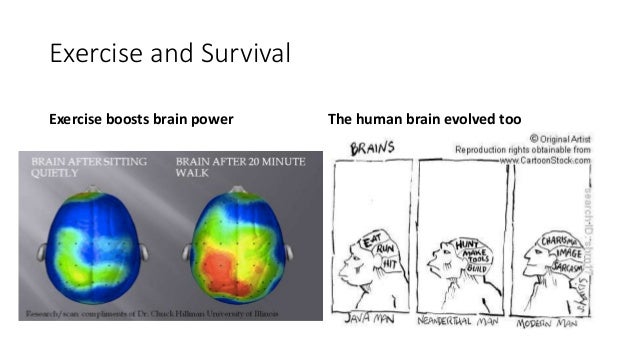 Heuristics psychology example picture
