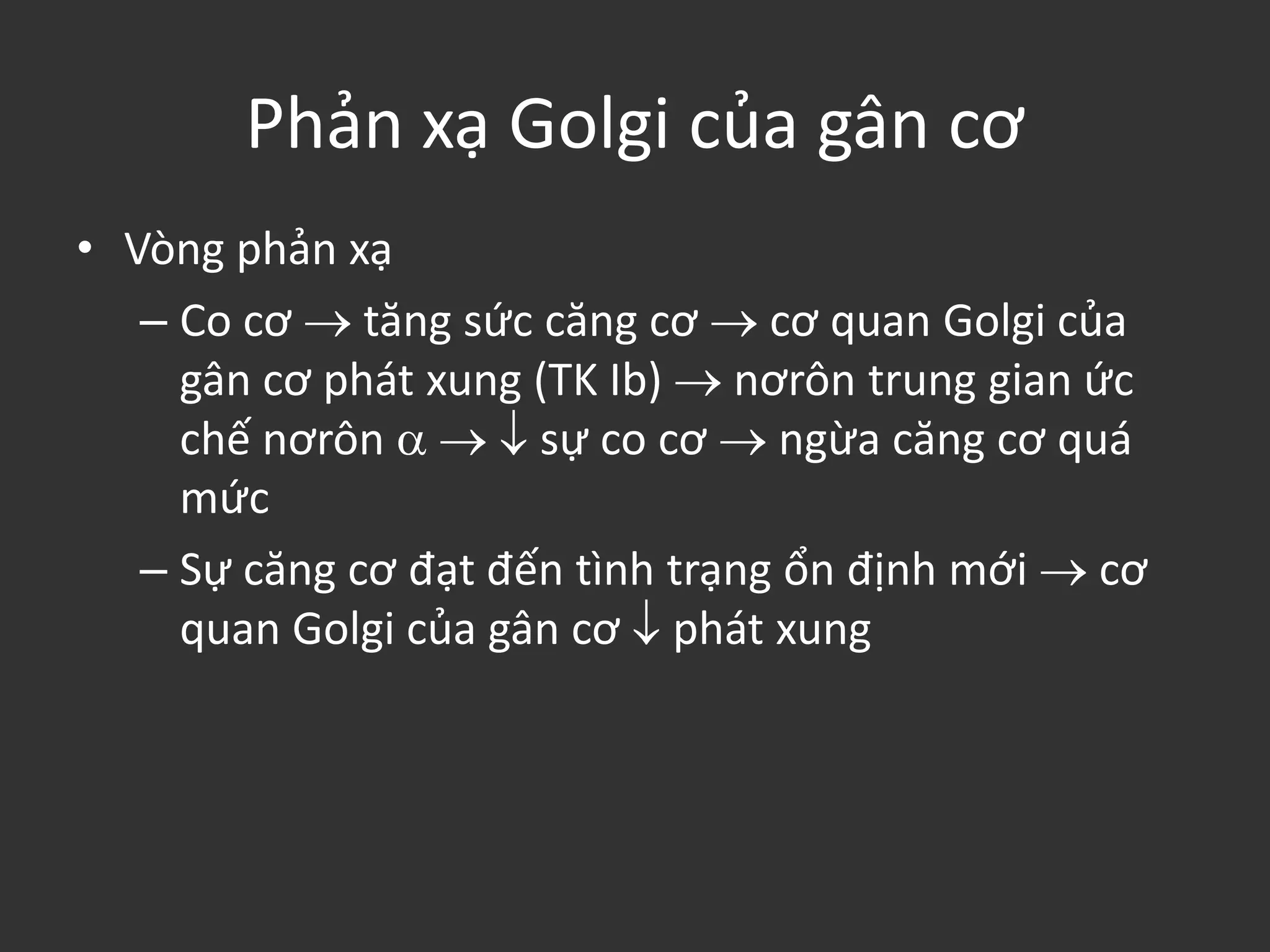 Phản xạ Golgi của gân cơ
• Vòng phản xạ
– Co cơ  tăng sức căng cơ  cơ quan Golgi của
gân cơ phát xung (TK Ib)  nơrôn trung gian ức
chế nơrôn    sự co cơ  ngừa căng cơ quá
mức
– Sự căng cơ đạt đến tình trạng ổn định mới  cơ
quan Golgi của gân cơ  phát xung
 
