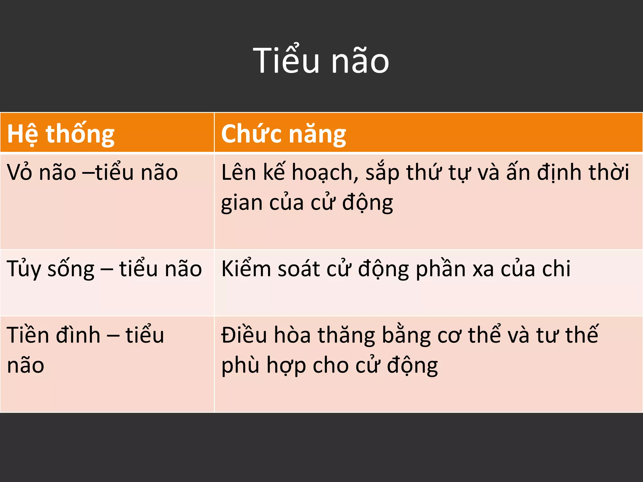 Tiểu não
Hệ thống Chức năng
Vỏ não –tiểu não Lên kế hoạch, sắp thứ tự và ấn định thời
gian của cử động
Tủy sống – tiểu não Kiểm soát cử động phần xa của chi
Tiền đình – tiểu
não
Điều hòa thăng bằng cơ thể và tư thế
phù hợp cho cử động
 