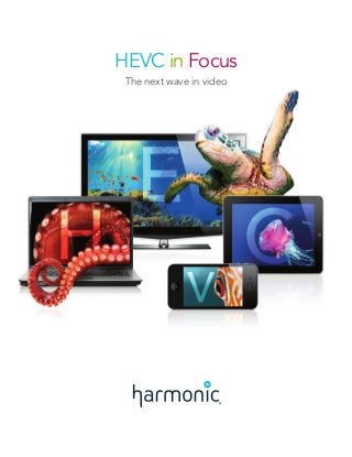 HEVC in Focus
The next wave in video

 