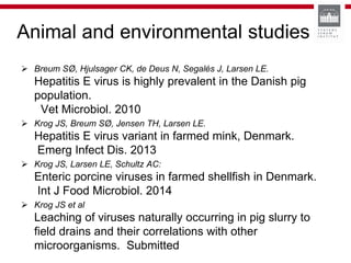 Animal and environmental studies
 Breum SØ, Hjulsager CK, de Deus N, Segalés J, Larsen LE.
Hepatitis E virus is highly prevalent in the Danish pig
population.
Vet Microbiol. 2010
 Krog JS, Breum SØ, Jensen TH, Larsen LE.
Hepatitis E virus variant in farmed mink, Denmark.
Emerg Infect Dis. 2013
 Krog JS, Larsen LE, Schultz AC:
Enteric porcine viruses in farmed shellfish in Denmark.
Int J Food Microbiol. 2014
 Krog JS et al
Leaching of viruses naturally occurring in pig slurry to
field drains and their correlations with other
microorganisms. Submitted
 
