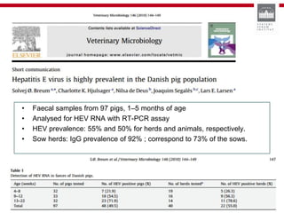 • Faecal samples from 97 pigs, 1–5 months of age
• Analysed for HEV RNA with RT-PCR assay
• HEV prevalence: 55% and 50% for herds and animals, respectively.
• Sow herds: IgG prevalence of 92% ; correspond to 73% of the sows.
 