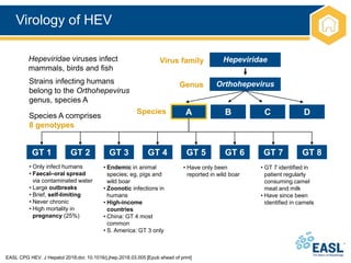 Virology of HEV
EASL CPG HEV. J Hepatol 2018;doi: 10.1016/j.jhep.2018.03.005 [Epub ahead of print]
Hepeviridae
Orthohepevirus
Virus family
Genus
Hepeviridae viruses infect
mammals, birds and fish
Strains infecting humans
belong to the Orthohepevirus
genus, species A
Species
Species A comprises
8 genotypes
A D
C
B
GT 1 GT 2 GT 3 GT 7
GT 6
GT 5
GT 4 GT 8
• Only infect humans
• Faecal–oral spread
via contaminated water
• Large outbreaks
• Brief, self-limiting
• Never chronic
• High mortality in
pregnancy (25%)
• Endemic in animal
species; eg, pigs and
wild boar
• Zoonotic infections in
humans
• High-income
countries
• China: GT 4 most
common
• S. America: GT 3 only
• Have only been
reported in wild boar
• GT 7 identified in
patient regularly
consuming camel
meat and milk
• Have since been
identified in camels
 