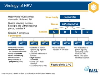 Virology of HEV
EASL CPG HEV. J Hepatol 2018;doi: 10.1016/j.jhep.2018.03.005 [Epub ahead of print]
Hepeviridae
Orthohepevirus
Virus family
Genus
Hepeviridae viruses infect
mammals, birds and fish
Strains infecting humans
belong to the Orthohepevirus
genus, species A
Species
Species A comprises
8 genotypes
A D
C
B
• Only infect humans
• Faecal–oral spread
via contaminated water
• Large outbreaks
• Brief, self-limiting
• Never chronic
• High mortality in
pregnancy (25%)
• Endemic in animal
species; eg, pigs and
wild boar
• Zoonotic infections in
humans
• High-income
countries
• China: GT 4 most
common
• S. America: GT 3 only
• Have only been
reported in wild boar
• GT 7 identified in
patient regularly
consuming camel
meat and milk
• Have since been
identified in camels
Focus of this CPG
GT 1 GT 2 GT 3 GT 7
GT 6
GT 5
GT 4 GT 8
 