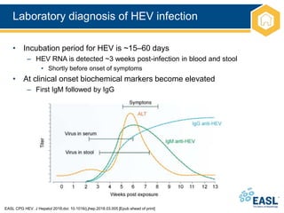 Laboratory diagnosis of HEV infection
EASL CPG HEV. J Hepatol 2018;doi: 10.1016/j.jhep.2018.03.005 [Epub ahead of print]
• Incubation period for HEV is ~15–60 days
– HEV RNA is detected ~3 weeks post-infection in blood and stool
• Shortly before onset of symptoms
• At clinical onset biochemical markers become elevated
– First IgM followed by IgG
 