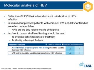 Molecular analysis of HEV
EASL CPG HEV. J Hepatol 2018;doi: 10.1016/j.jhep.2018.03.005 [Epub ahead of print]
• Detection of HEV RNA in blood or stool is indicative of HEV
infection
• In immunosuppressed patients with chronic HEV, anti-HEV antibodies
are often undetectable
– NATs are the only reliable means of diagnosis
• In chronic cases, viral load testing should be used
– To evaluate patient response to treatment
– To identify relapsing infections
Recommendations
• A combination of serology and NAT testing should be used to
diagnose HEV infection
A 1
• NAT testing should be used to diagnose chronic HEV infection A 1
Grade of evidence Grade of recommendation
 