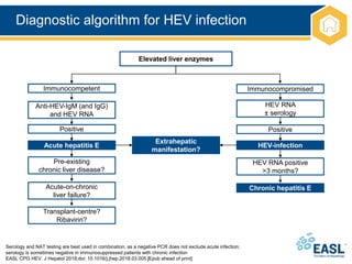 Diagnostic algorithm for HEV infection
Serology and NAT testing are best used in combination, as a negative PCR does not exclude acute infection;
serology is sometimes negative in immunosuppressed patients with chronic infection
EASL CPG HEV. J Hepatol 2018;doi: 10.1016/j.jhep.2018.03.005 [Epub ahead of print]
Anti-HEV-IgM (and IgG)
and HEV RNA
Positive
Acute hepatitis E
Immunocompetent
Extrahepatic
manifestation?
Immunocompromised
HEV RNA
± serology
Chronic hepatitis E
Elevated liver enzymes
Pre-existing
chronic liver disease?
Acute-on-chronic
liver failure?
Transplant-centre?
Ribavirin?
Positive
HEV-infection
HEV RNA positive
>3 months?
 
