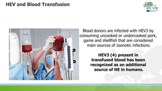 HEV and Blood Transfusion
Blood donors are infected with HEV3 by
consuming uncooked or undercooked pork,
game and shellfish that are considered
main sources of zoonotic infections.
HEV3 (4) present in
transfused blood has been
recognized as an additional
source of HE in humans.
 