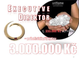 E x  e  c  u  t  i  v  e  D i r e k t o rtj. 233.000 Kč za měsíc    ≈ průměrně za 3 týdny:175.000 KčRoční příjem3.000.000 Kč12