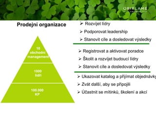 RovnováhaZměna / Postup / RůstPostoj a AkceVím proč, hledám jakCelkové Vnímání