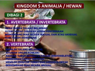 KINGDOM 5 ANIMALIA / HEWAN
DIBAGI 2
1. AVERTEBRATA / INVERTEBRATA
2. VERTEBRATA
TIDAK PUNYA TULANG BELAKANG
SISTEM SYARAF DIBAWAH SISREM PENCERNAAN
BERKEMBANG BIAK SECARA SEKSUAL DAN ATAU AKSESUAL
ALAT TUBUH SEDERHANA
MEMILIKI TULANG BELAKANG
SUSUNAN ORGAN KOMLEKS
RANGKA TUBUH BERADA DI DALAM (ENDOSKELETON)
PEREDARAN DARAH TERTUTUP
MEMILIKI PENUTUP TUBUH DAN ANGGOTA GERAK
BERKEMBANG BIAK SECARA SEKSUAL
 