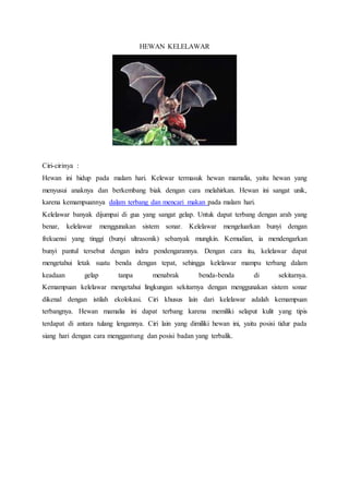 HEWAN KELELAWAR
Ciri-cirinya :
Hewan ini hidup pada malam hari. Kelewar termasuk hewan mamalia, yaitu hewan yang
menyusui anaknya dan berkembang biak dengan cara melahirkan. Hewan ini sangat unik,
karena kemampuannya dalam terbang dan mencari makan pada malam hari.
Kelelawar banyak dijumpai di gua yang sangat gelap. Untuk dapat terbang dengan arah yang
benar, kelelawar menggunakan sistem sonar. Kelelawar mengeluarkan bunyi dengan
frekuensi yang tinggi (bunyi ultrasonik) sebanyak mungkin. Kemudian, ia mendengarkan
bunyi pantul tersebut dengan indra pendengarannya. Dengan cara itu, kelelawar dapat
mengetahui letak suatu benda dengan tepat, sehingga kelelawar mampu terbang dalam
keadaan gelap tanpa menabrak benda-benda di sekitarnya.
Kemampuan kelelawar mengetahui lingkungan sekitarnya dengan menggunakan sistem sonar
dikenal dengan istilah ekolokasi. Ciri khusus lain dari kelelawar adalah kemampuan
terbangnya. Hewan mamalia ini dapat terbang karena memiliki selaput kulit yang tipis
terdapat di antara tulang lengannya. Ciri lain yang dimiliki hewan ini, yaitu posisi tidur pada
siang hari dengan cara menggantung dan posisi badan yang terbalik.
 