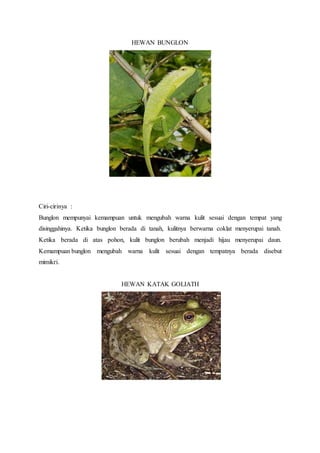 HEWAN BUNGLON
Ciri-cirinya :
Bunglon mempunyai kemampuan untuk mengubah warna kulit sesuai dengan tempat yang
disinggahinya. Ketika bunglon berada di tanah, kulitnya berwarna coklat menyerupai tanah.
Ketika berada di atas pohon, kulit bunglon berubah menjadi hijau menyerupai daun.
Kemampuan bunglon mengubah warna kulit sesuai dengan tempatnya berada disebut
mimikri.
HEWAN KATAK GOLIATH
 
