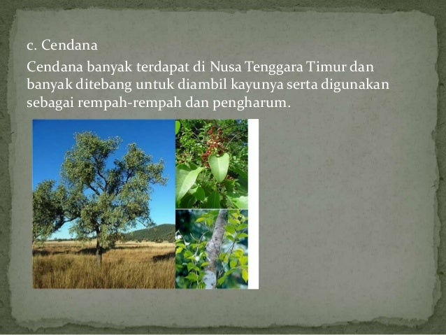 Hewan Dan Tumbuhan Langka