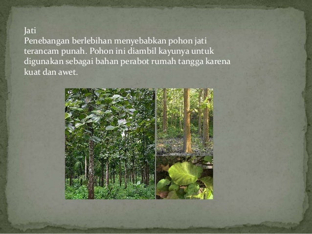 Hewan dan tumbuhan langka