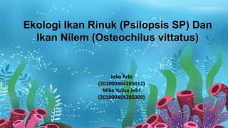 Ekologi Ikan Rinuk (Psilopsis SP) Dan
Ikan Nilem (Osteochilus vittatus)
Joko Arbi
(201000484205012)
Mike Yulisa Jefri
(201000484205009)
 